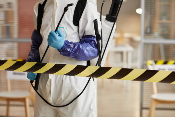 Professional Trauma Scene Cleanup technician working in Mountain View, NC